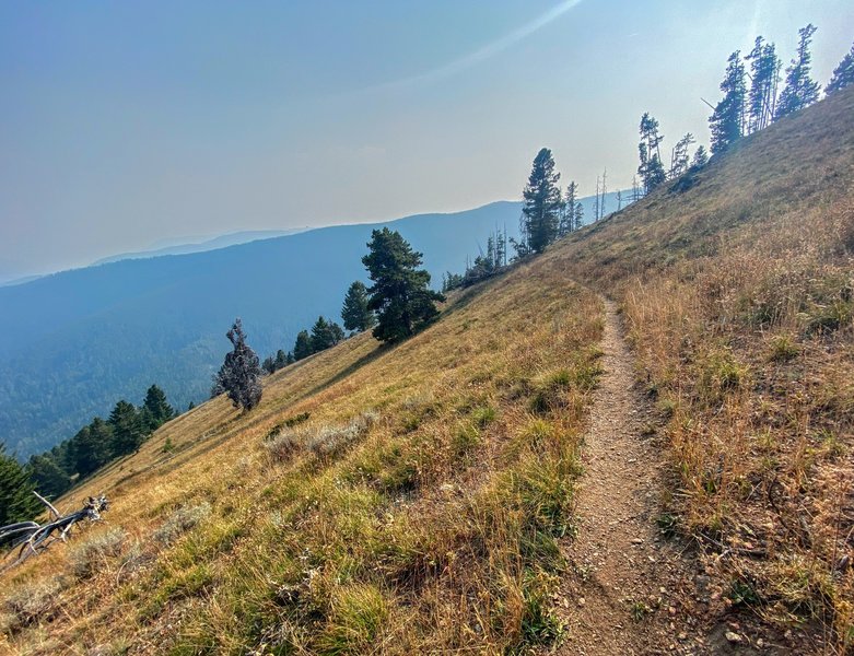 Open country on Indian Ridge