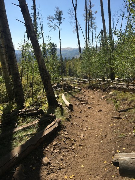 Looking south from the trail.