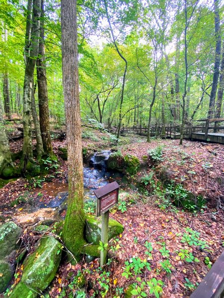 Small waterfall running over sculpted rock.