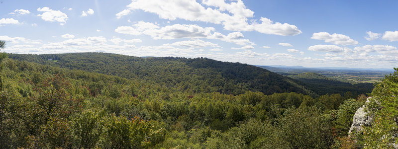 Panorama of Rock Ravens