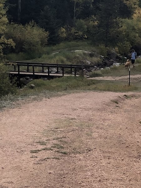 This is the bridge. I think it is at 0.7 miles on the trail.