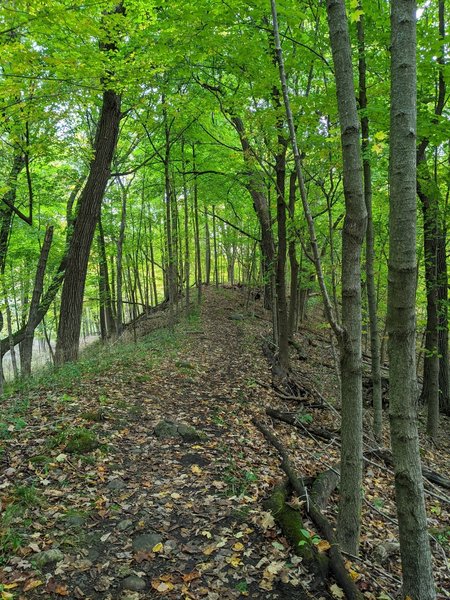 Early fall on the trail.