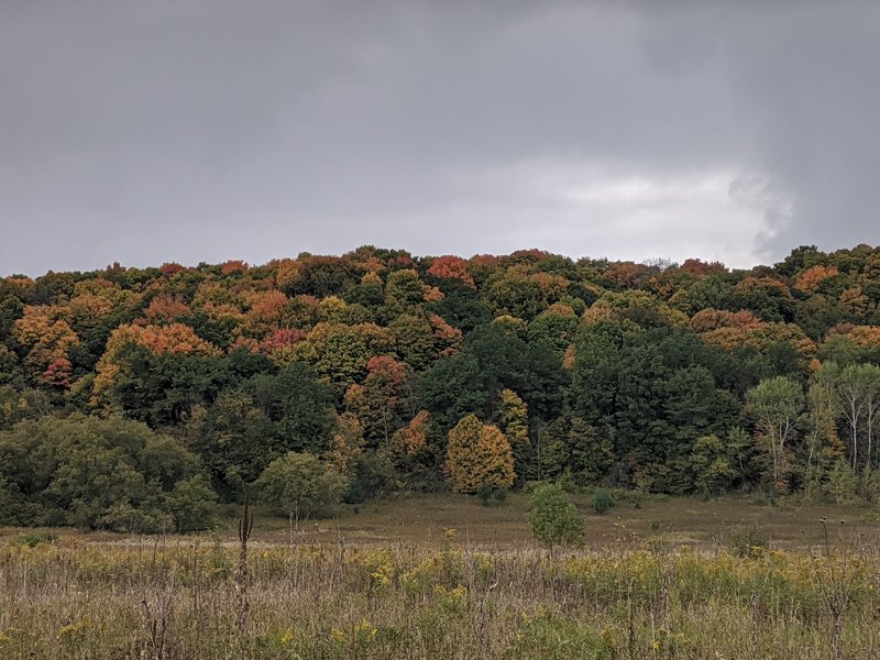 A rainy day in early fall.