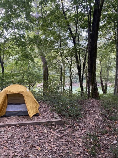 White oak campsite