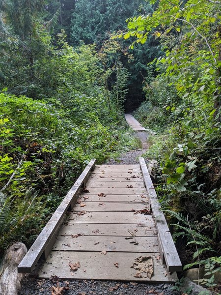 Boardwalk and bridge on the Ridge Trail.