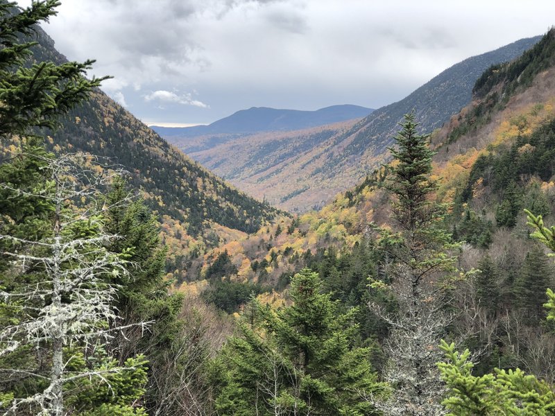 Looking south along Crawford Notch from Elephant Head Viewpoint.