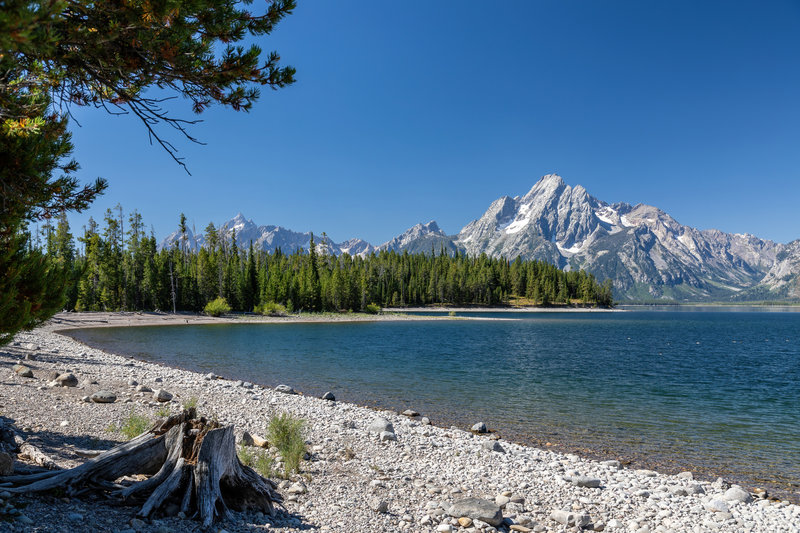 Mount Moran from Colter Bay Lakeshore Trail.