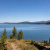 Moose Island and Jackson Lake.