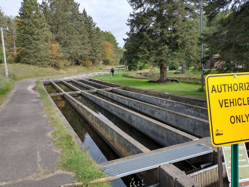 Trout Fish Hatchery