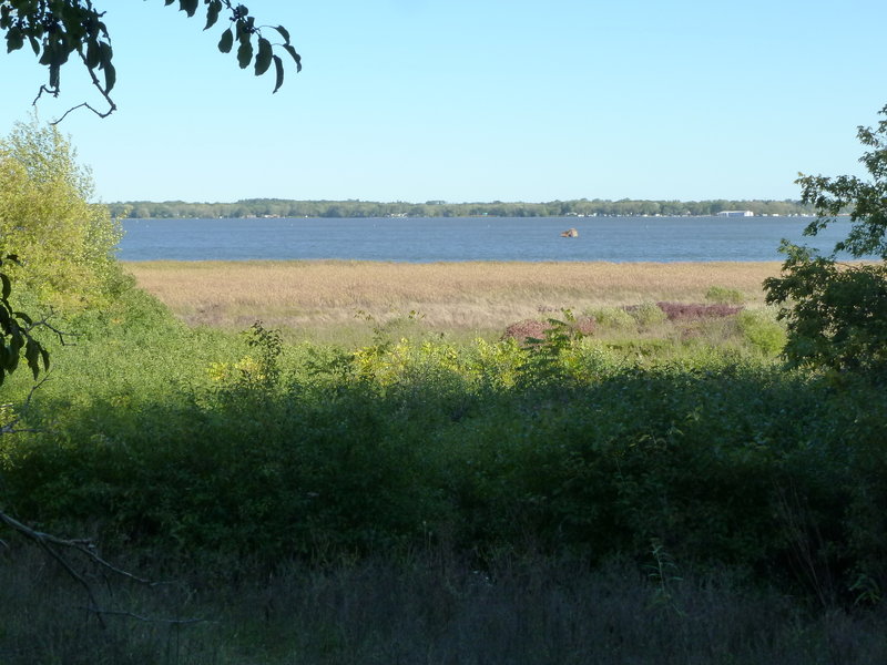 Bench area to view lake