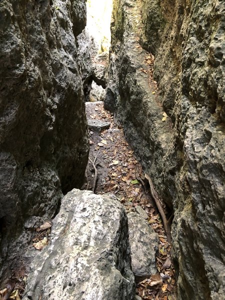 There are lots of places where the trail splits off, usually just for a view. This time I ended up climbing up thru a crevice. This is looking back down half way through.