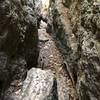 There are lots of places where the trail splits off, usually just for a view. This time I ended up climbing up thru a crevice. This is looking back down half way through.