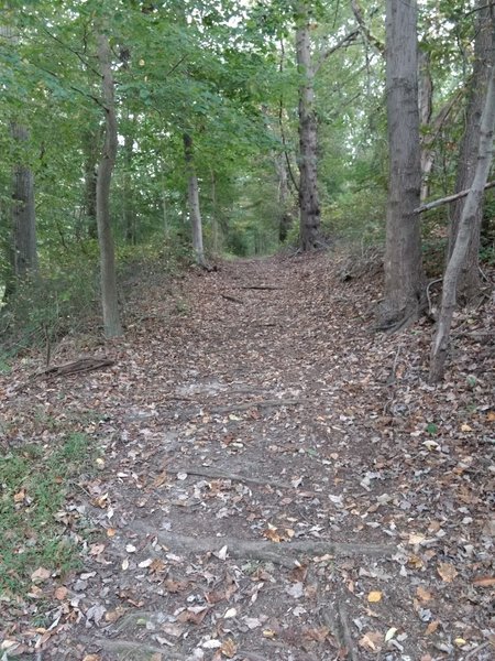 Trail climbing away from lake