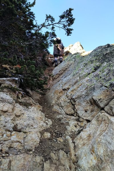 This is the trail just below the ridge at the start of the New York Lake Trail. It is VERY steep and rocky. You'll need both hands to go down (and back up).