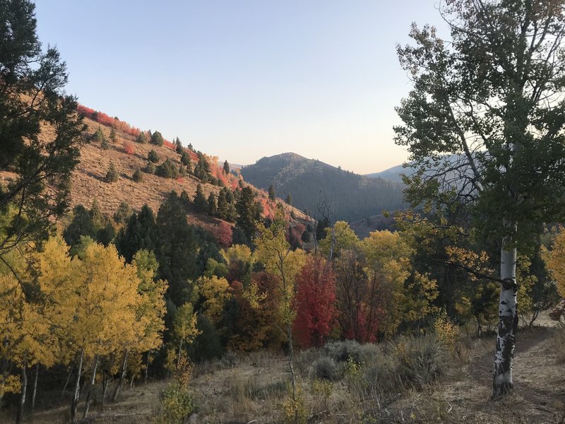 Hiking during peak foliage.