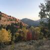 Hiking during peak foliage.