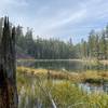 Adorable little lake with rainbow trout.