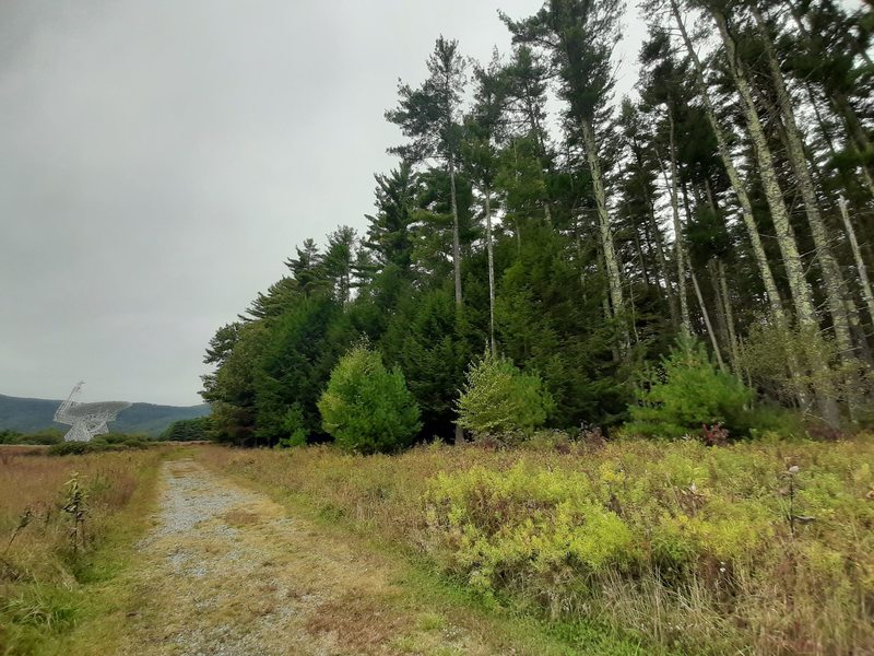 The Nature Trail leads visitors past towering conifers and straight to the Green Bank Telescope.