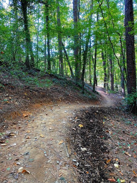 The trail curving up the hill.