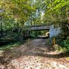 A bridge rising above the trail.