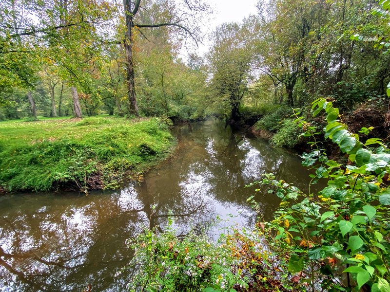 The confluence of the Eno River.