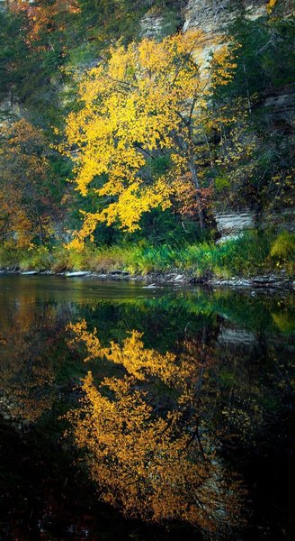 Beautiful autumn reflections.