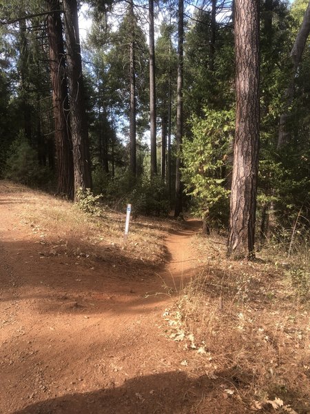 Dry and dusty trail in October.