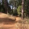 Dry and dusty trail in October.