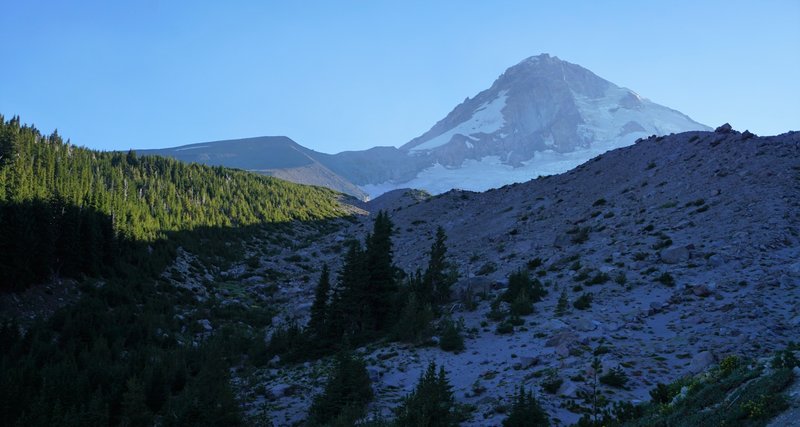 Mount Hood from just below the trail through the High Point.