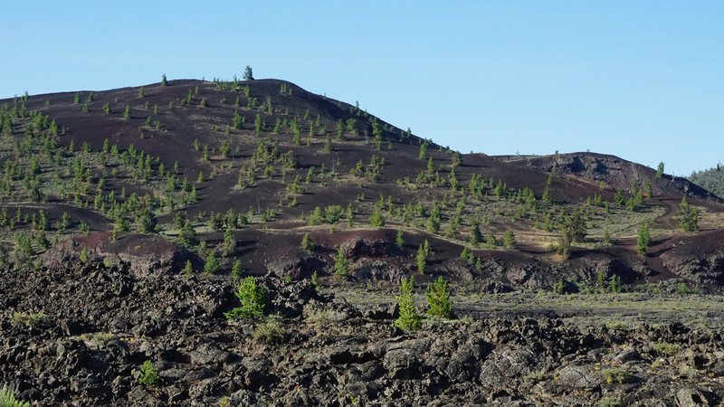 Cones near the entrance to Craters of the Moon.