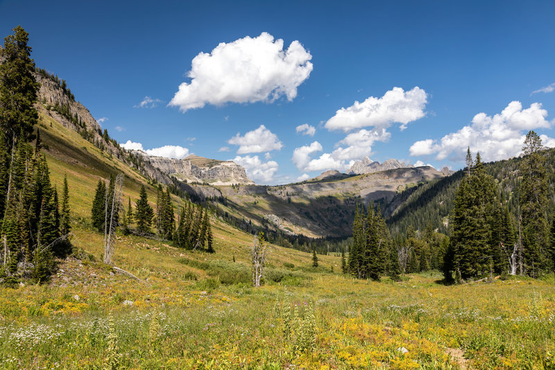 The final ascent from Death Canyon to Fox Creek Pass.