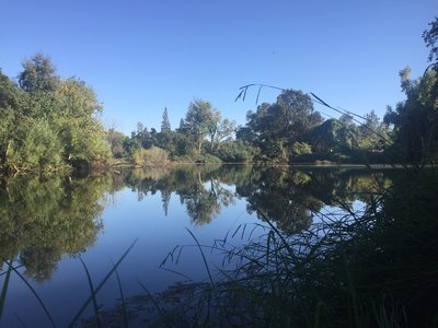 Pig Lake
