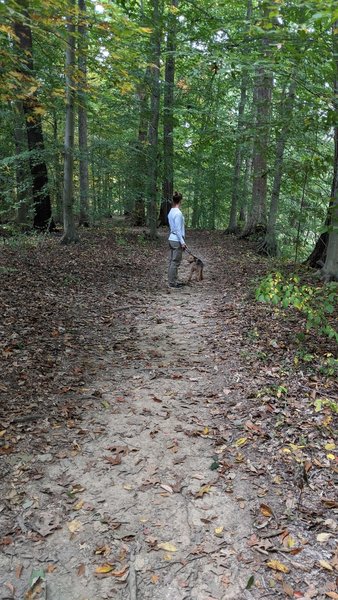 The trails are in great shape! Hardpacked and would be great for biking.