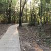 The trail in McClendon Park Nature Preserve.