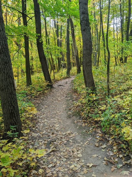 Southeast Wisconsin nearing its fall peak.