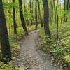 Southeast Wisconsin nearing its fall peak.