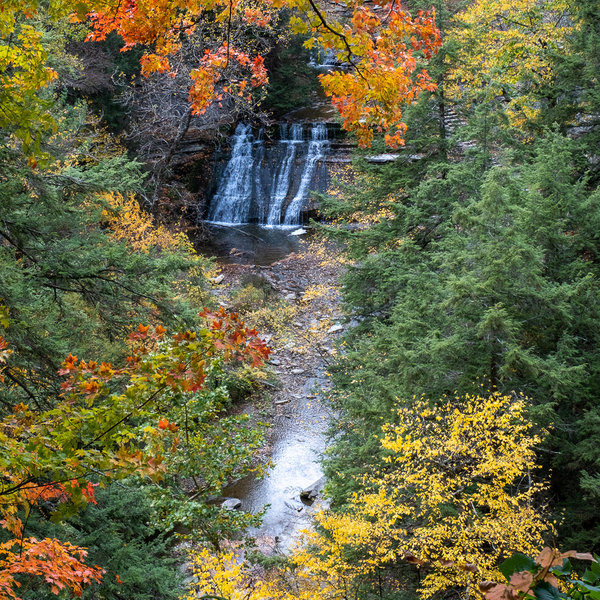 Stony Brook Lower Falls from the East Rim Trail.