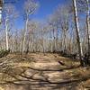 Part of the hike follows a rustic fence line.