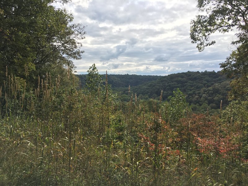 View from sunset point.