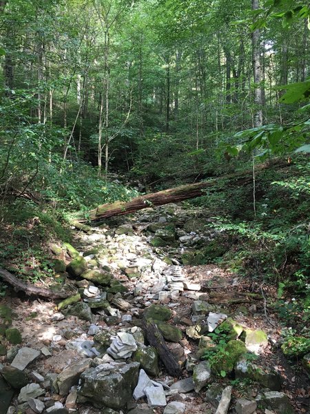 Dry creek bed.