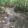 Rammer Hollow Trail under renovation has lot's of loose gravel, landscape fabric,  and deep ruts from equipment.