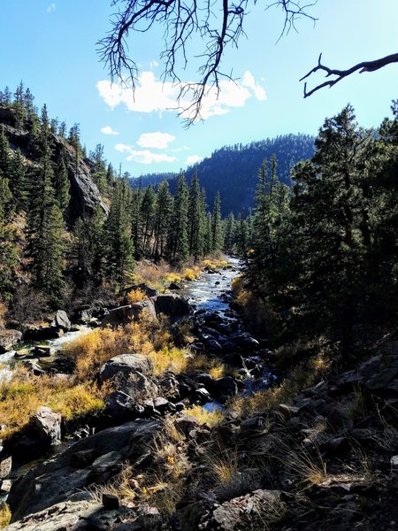 South Platte River fall colors