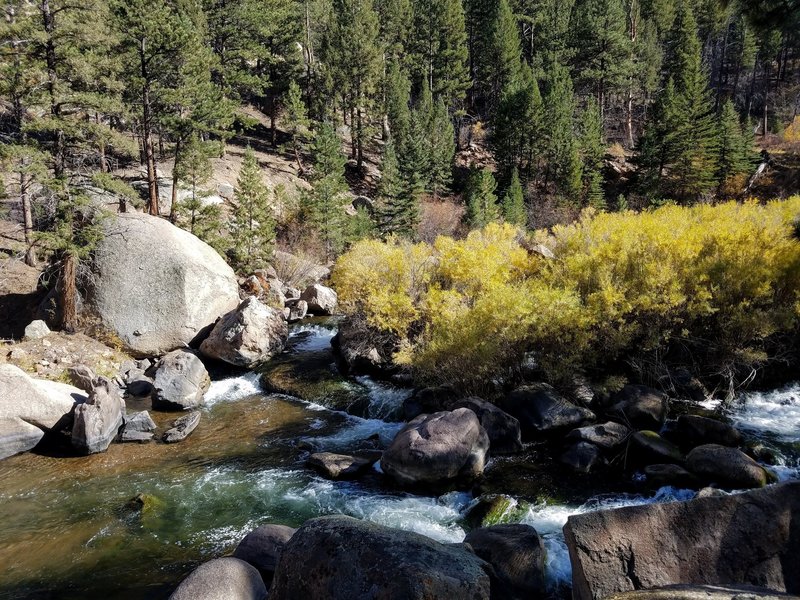 Fall colors South Platte River.