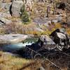 South Platte River rapids.