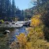 Willows sporting fall colors along South Fork of South Platte River.
