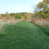 Beginning of wide grass trail with grass prairie.