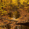 Autumn view of the stream crossing at the junction of the Brandy Lake to Round Pond and Otter Lake to Brandy Lake trails.