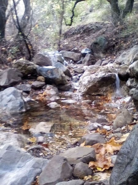 Small waterfall/pond at the top of the trail.