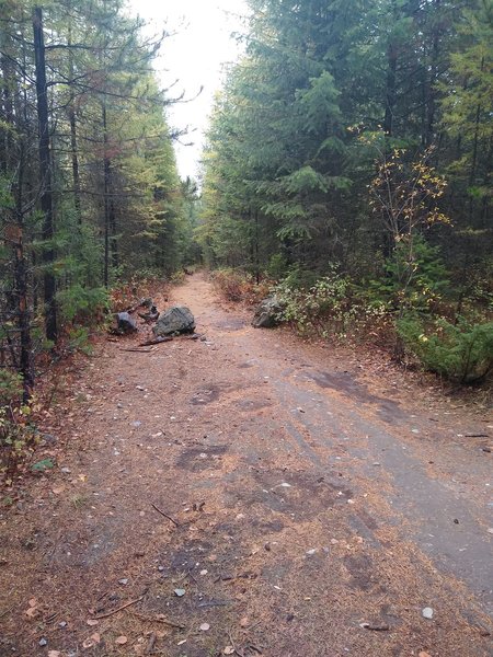 Section of trail between Lion Mountain and Beaver Lakes