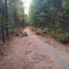 Section of trail between Lion Mountain and Beaver Lakes